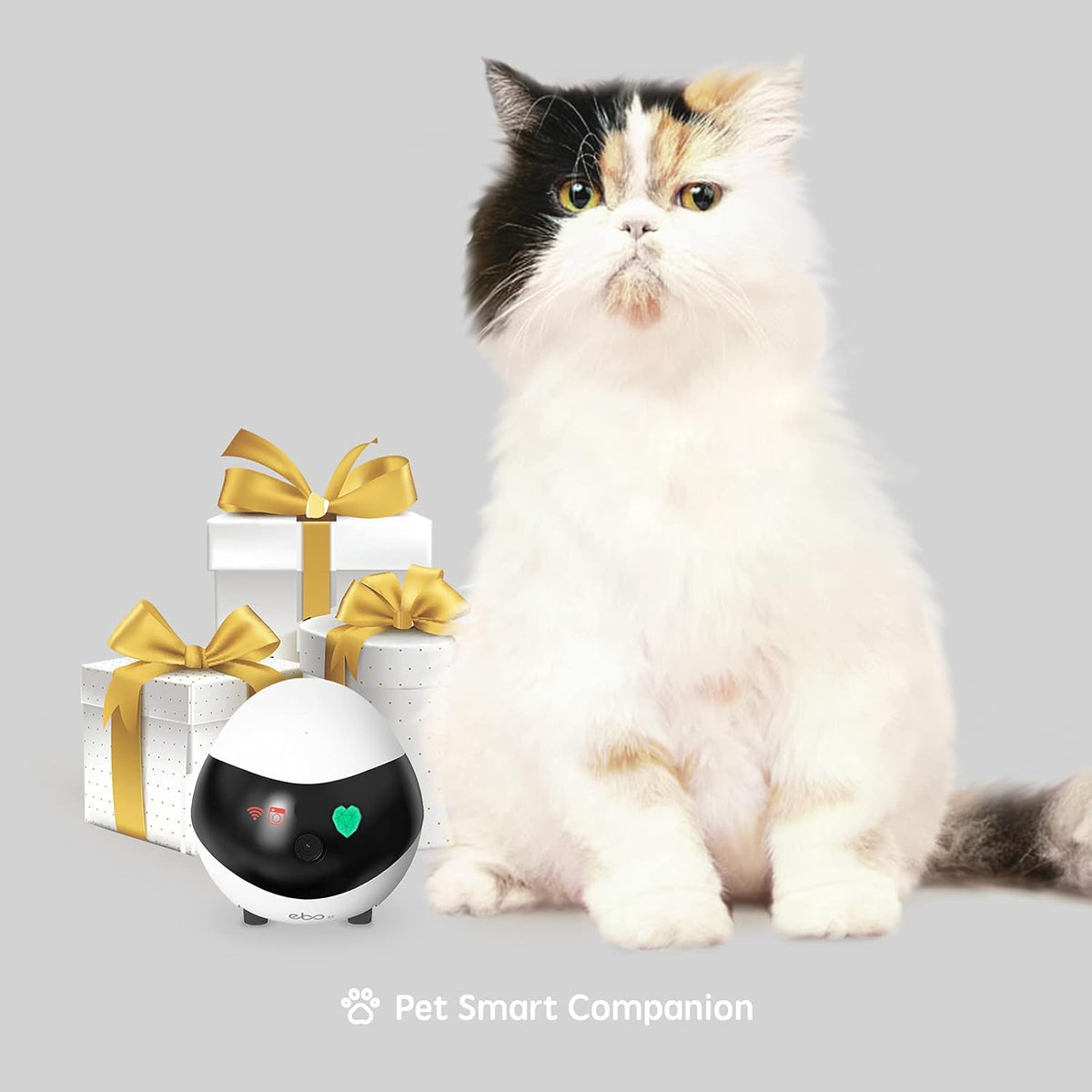 Pet Camera Robot Indoor